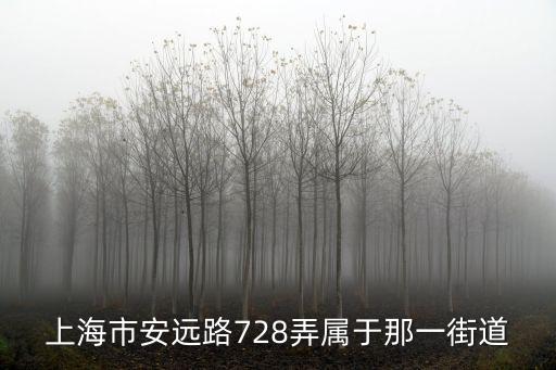 上海市安遠路是哪個區的，上海市安遠路839號420室在哪個區