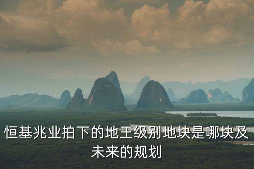 恒基兆業拍下的地王級別地塊是哪塊及未來的規劃