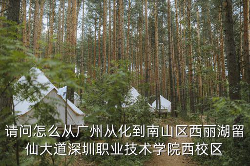 請問怎么從廣州從化到南山區西麗湖留仙大道深圳職業技術學院西校區