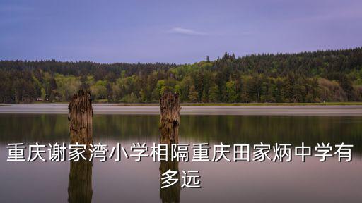 重慶謝家灣小學相隔重慶田家炳中學有多遠