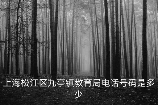 上海松江區(qū)九亭鎮(zhèn)教育局電話號(hào)碼是多少