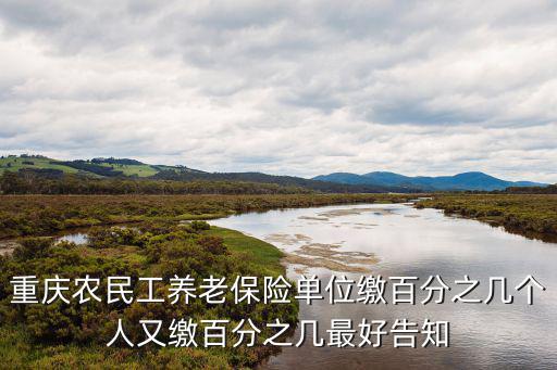 重慶農(nóng)民工養(yǎng)老保險(xiǎn)單位繳百分之幾個(gè)人又繳百分之幾最好告知