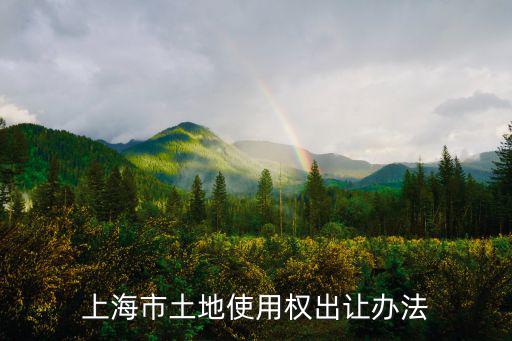 上海市土地使用權(quán)出讓辦法
