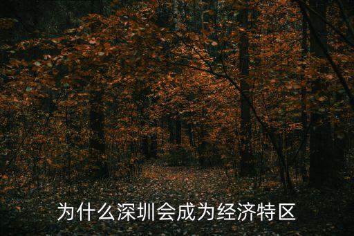 為什么深圳會成為經濟特區
