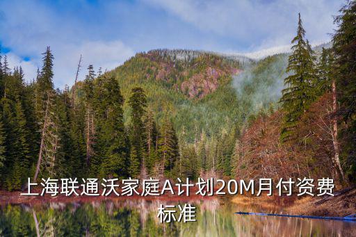 上海聯(lián)通沃家庭A計(jì)劃20M月付資費(fèi)標(biāo)準(zhǔn)