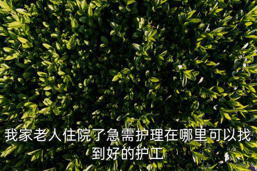 上海市陪護老人招聘，我家老人住院了急需護理在哪里可以找到好的護工
