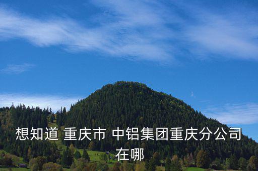 重慶市中南鋁輪轂公司電話，想知道 重慶市 中鋁集團(tuán)重慶分公司 在哪