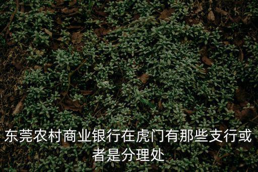 東莞農村商業銀行在虎門有那些支行或者是分理處