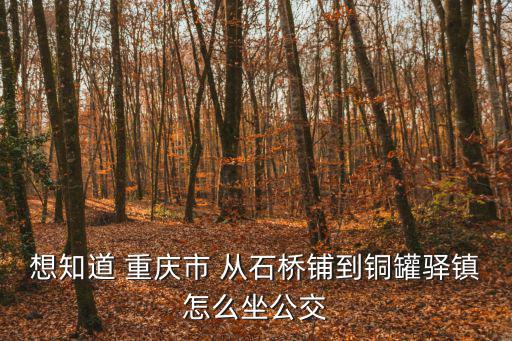想知道 重慶市 從石橋鋪到銅罐驛鎮怎么坐公交