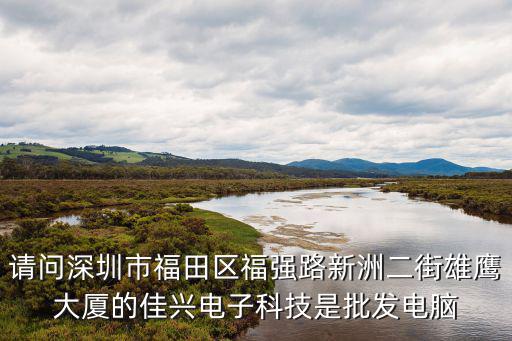 請問深圳市福田區福強路新洲二街雄鷹大廈的佳興電子科技是批發電腦