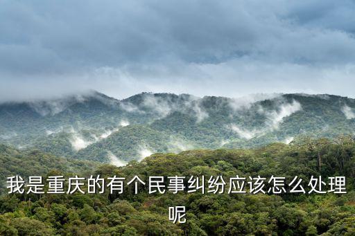 我是重慶的有個民事糾紛應該怎么處理呢