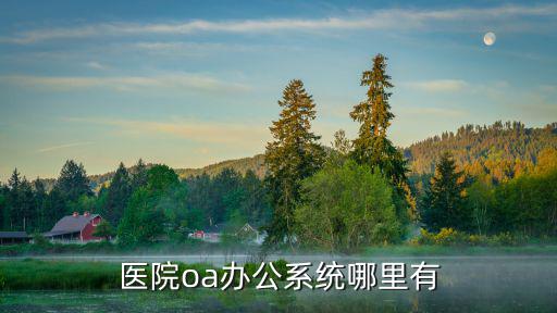 醫院oa辦公系統哪里有