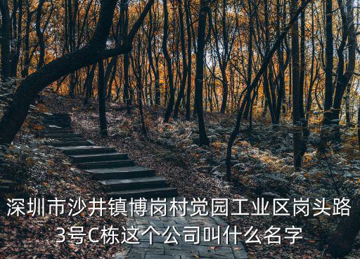 深圳市沙井鎮(zhèn)博崗村覺(jué)園工業(yè)區(qū)崗頭路3號(hào)C棟這個(gè)公司叫什么名字