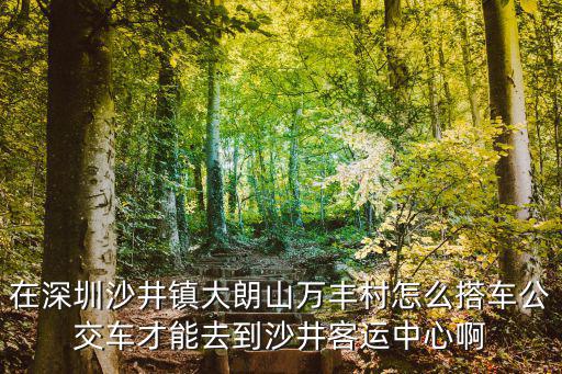 深圳沙井萬豐到天等的車，在深圳沙井鎮(zhèn)大朗山萬豐村怎么搭車公交車才能去到沙井客運(yùn)中心啊