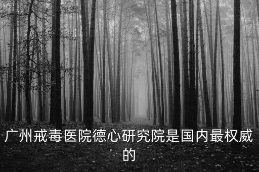 廣州戒毒醫(yī)院德心研究院是國內最權威的