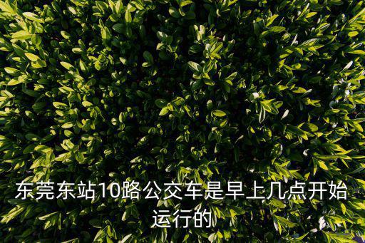 東莞東站10路公交車是早上幾點開始運行的
