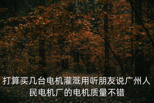 打算買幾臺電機灌溉用聽朋友說廣州人民電機廠的電機質量不錯