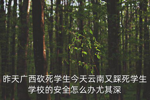 昨天廣西砍死學生今天云南又踩死學生學校的安全怎么辦尤其深
