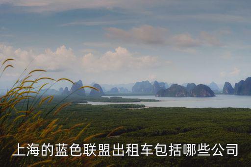 上海市民藝術節(jié) 旗忠，上海的藍色聯(lián)盟出租車包括哪些公司