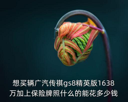 想買輛廣汽傳祺gs8精英版1638萬加上保險牌照什么的能花多少錢