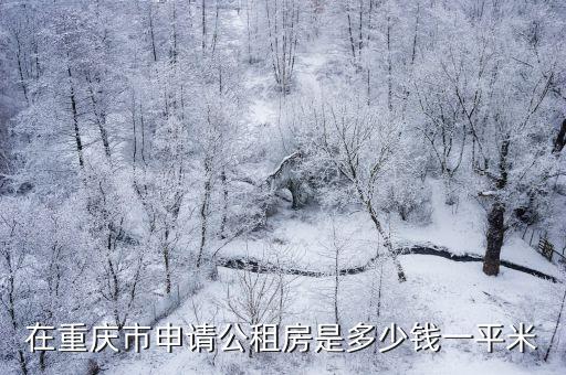 重慶市買公租房多少錢一平米，在重慶市申請公租房是多少錢一平米