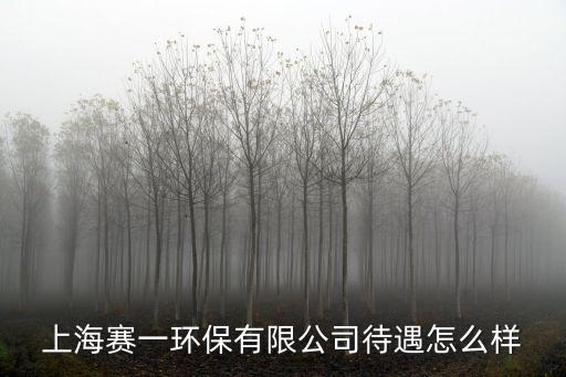 上海賽一環保有限公司待遇怎么樣