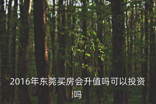 2016年東莞買房會升值嗎可以投資嗎