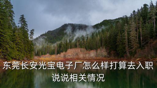 東莞長安光寶電子廠怎么樣打算去入職說說相關情況