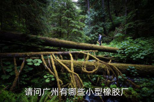 廣州第五橡膠廠，廣州番禺有沒有橡膠廠
