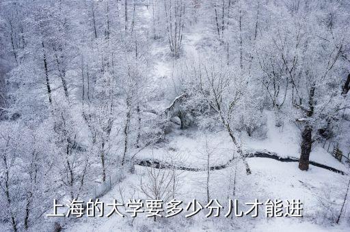 上海的大學(xué)要多少分兒才能進(jìn)