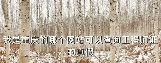 我是重慶的哪個網站可以查詢工程師證的真假