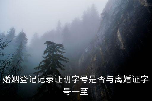 重慶市巴南區(qū)離婚證字號(hào)，婚姻登記記錄證明字號(hào)是否與離婚證字號(hào)一至