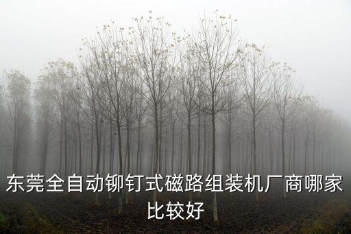 東莞全自動鉚釘式磁路組裝機廠商哪家比較好