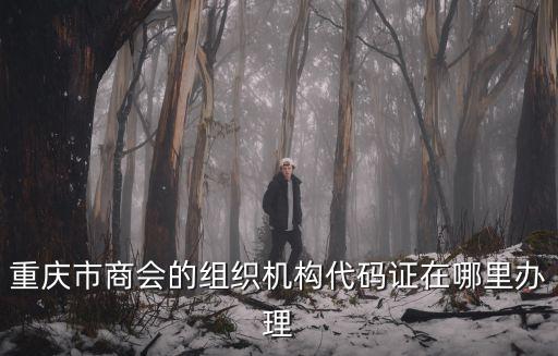 重慶市商會的組織機構代碼證在哪里辦理