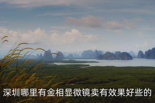 深圳哪里有金相顯微鏡賣有效果好些的