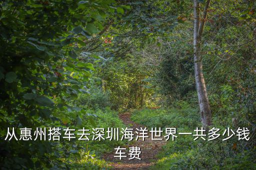從惠州搭車去深圳海洋世界一共多少錢車費