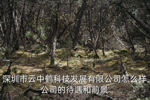 深圳市云中鶴科技發展有限公司怎么樣公司的待遇和前景