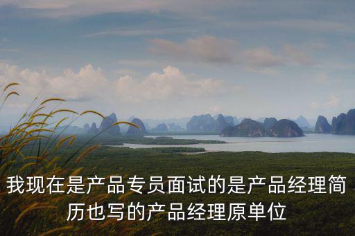 我現在是產品專員面試的是產品經理簡歷也寫的產品經理原單位