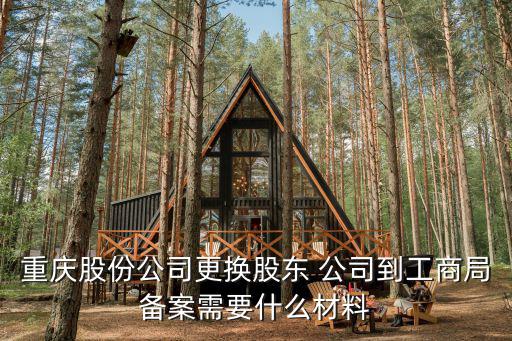 重慶股份公司更換股東 公司到工商局備案需要什么材料