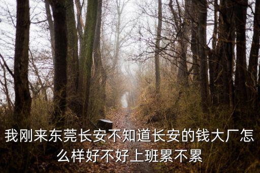 我剛來東莞長安不知道長安的錢大廠怎么樣好不好上班累不累