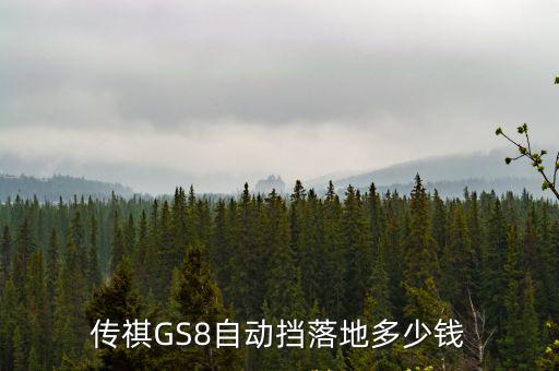 傳祺GS8自動擋落地多少錢