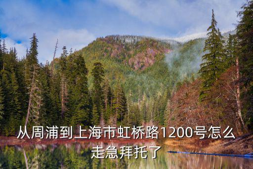 從周浦到上海市虹橋路1200號怎么走急拜托了
