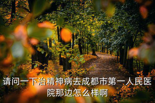 請問一下治精神病去成都市第一人民醫院那邊怎么樣啊