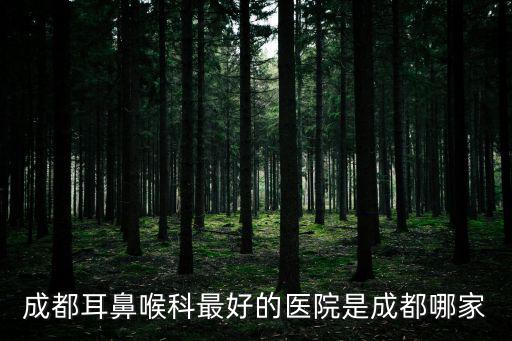 成都市第一人民醫(yī)院謝直躍，成都耳鼻喉科最好的醫(yī)院是成都哪家