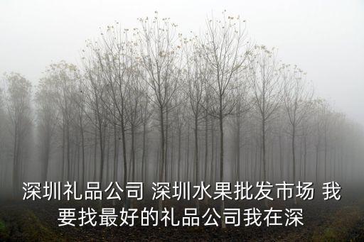 深圳百利來禮品實(shí)業(yè)公司，20屆深圳禮品展最大的經(jīng)理夾萬用手冊(cè)廠家是哪家