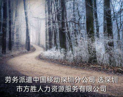 勞務派遣中國移動深圳分公司 選深圳市方勝人力資源服務有限公司