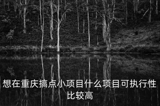 重慶市營商環境方案，前段時間重慶市公布了重慶市2016年重點項目名單名單里有合川北新