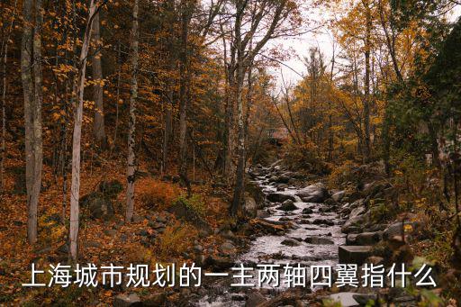 上海城市規(guī)劃的一主兩軸四翼指什么