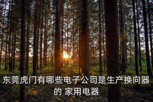 東莞虎門有哪些電子公司是生產換向器的 家用電器