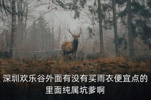 深圳歡樂谷外面有沒有買雨衣便宜點的里面純屬坑爹啊